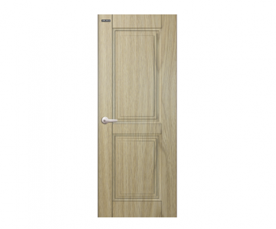  PLASTIC DOOR ABS GLX 117 