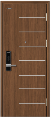 FIRE STEEL DOOR - GALAXY STEEL 521