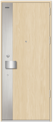 FIRE STEEL DOOR - GALAXY STEEL 901